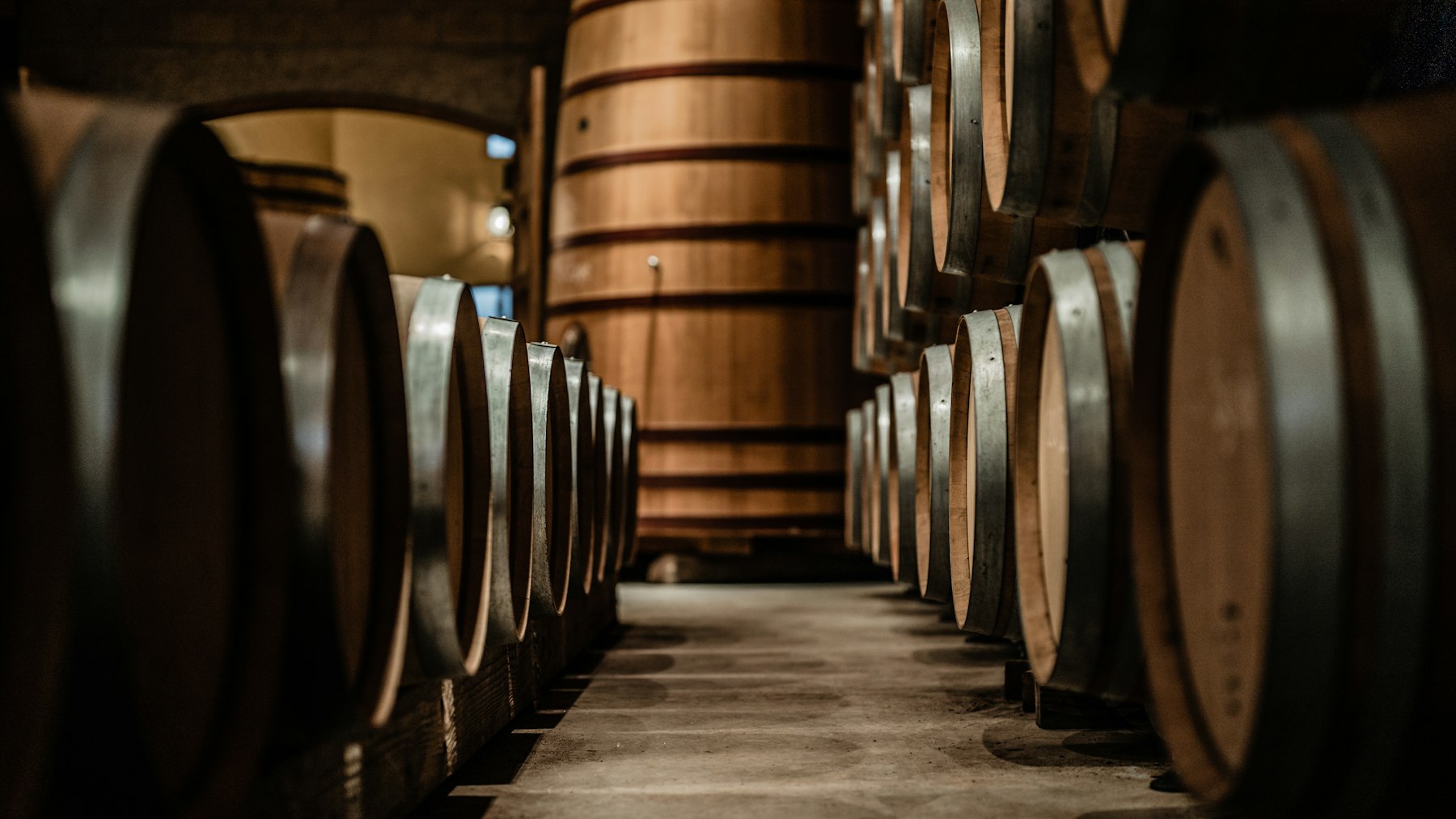 Oak barrels stacked in a winery shed