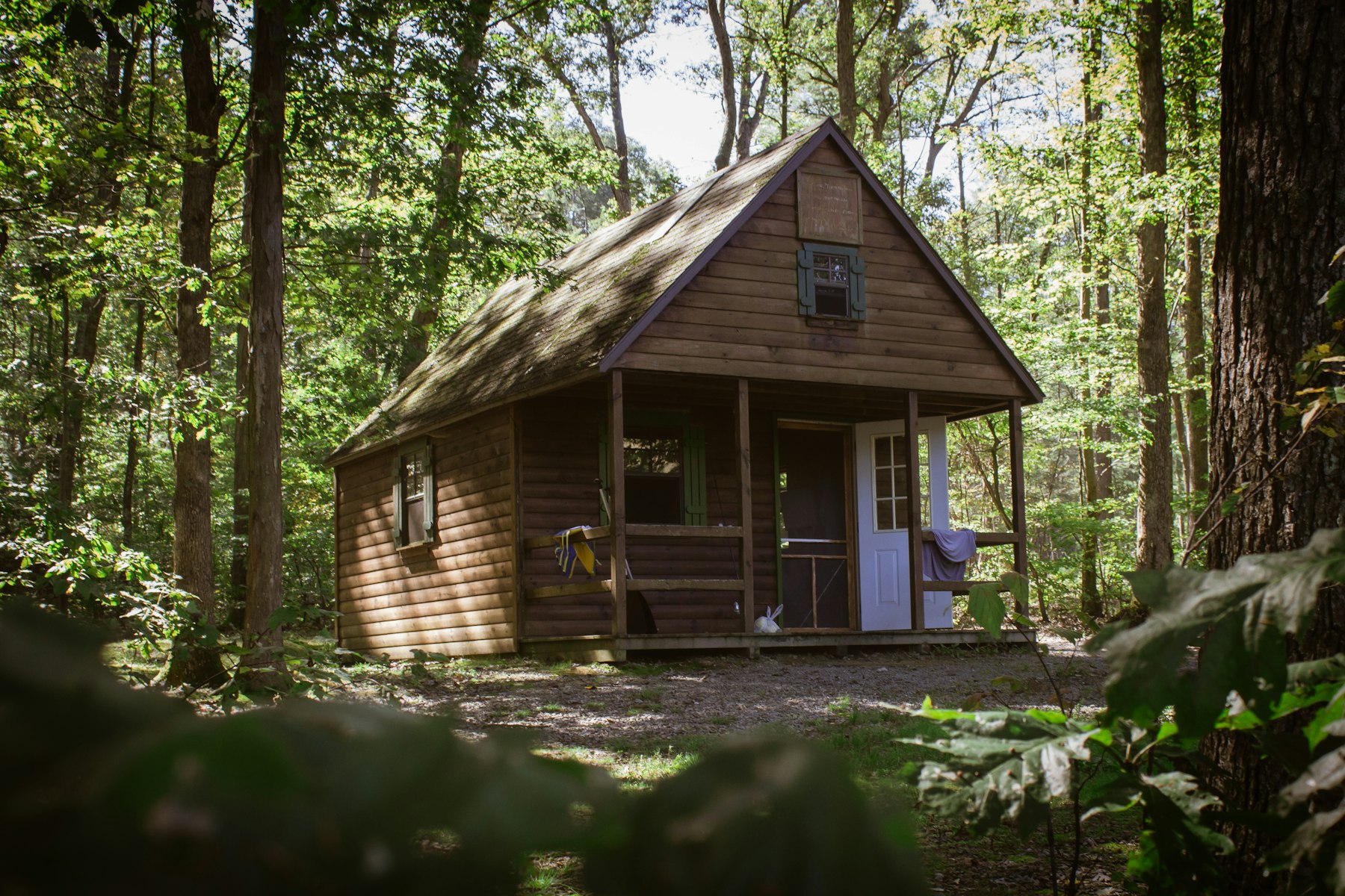 Small timber cabin in a quiet coastal setting