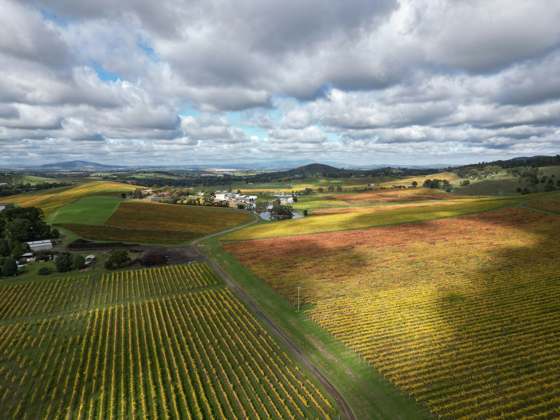 Aerial view of farmland and paddocks