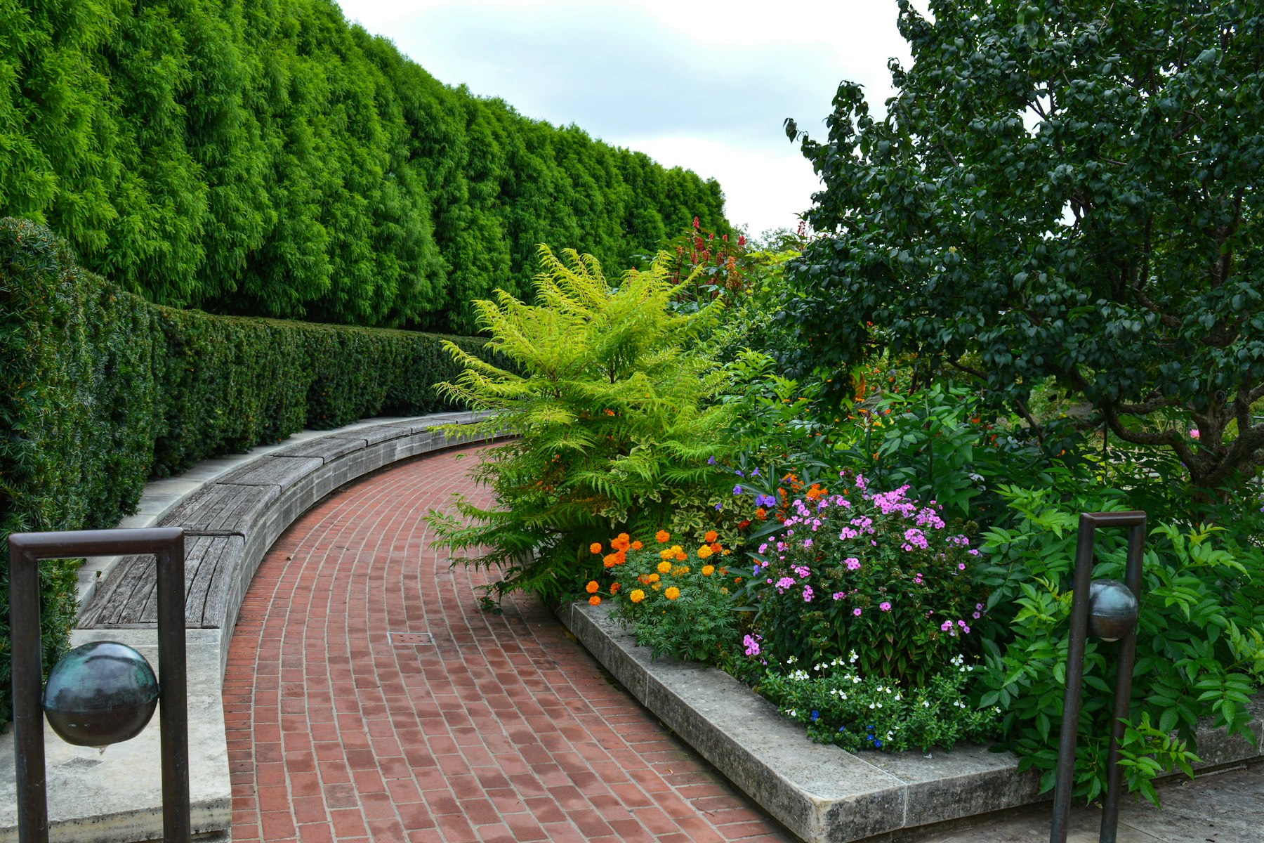 Fresh produce growing in a garden bed