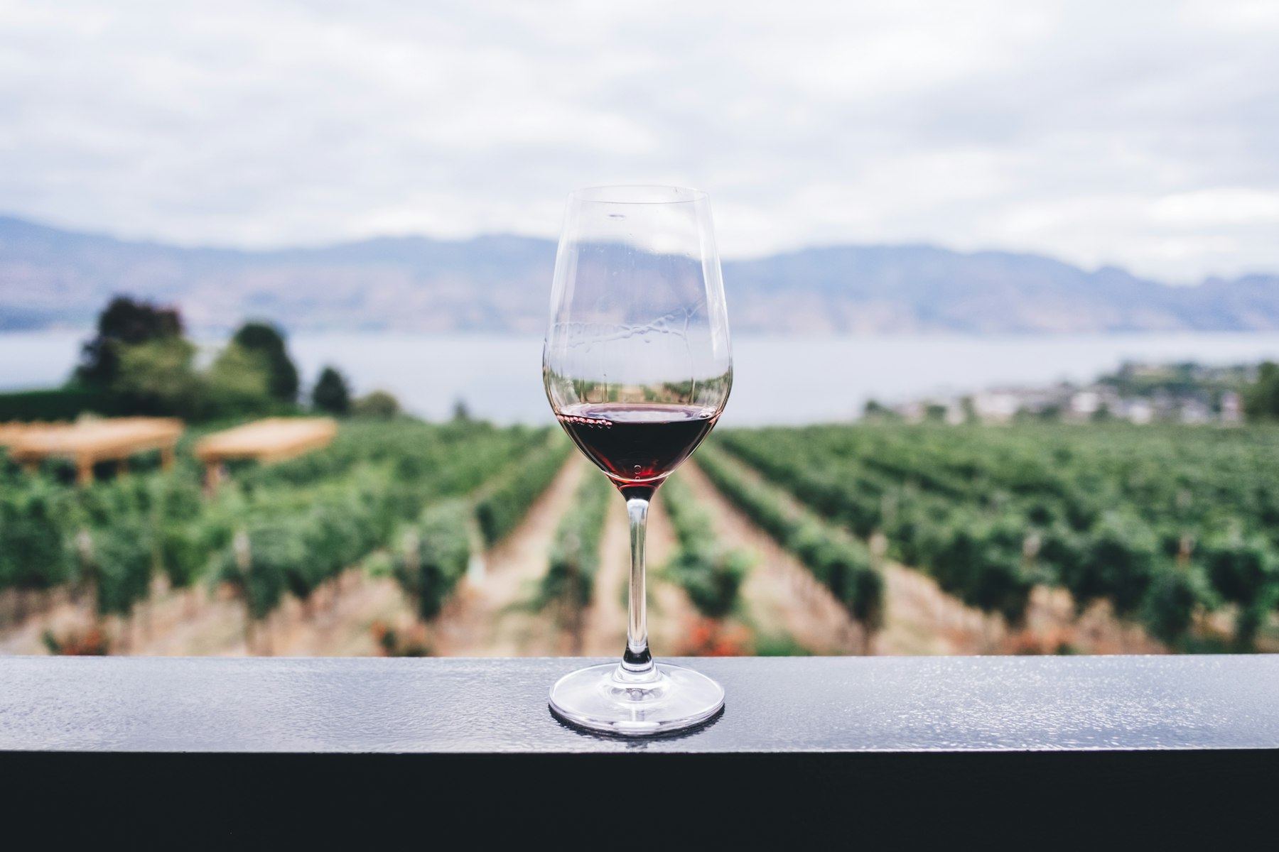 Glass of wine on a table overlooking the coast